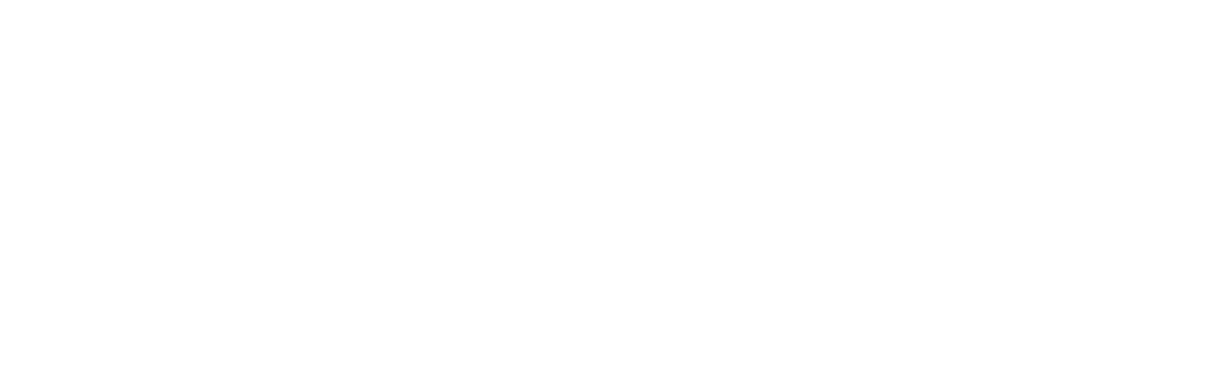 it pant logo
